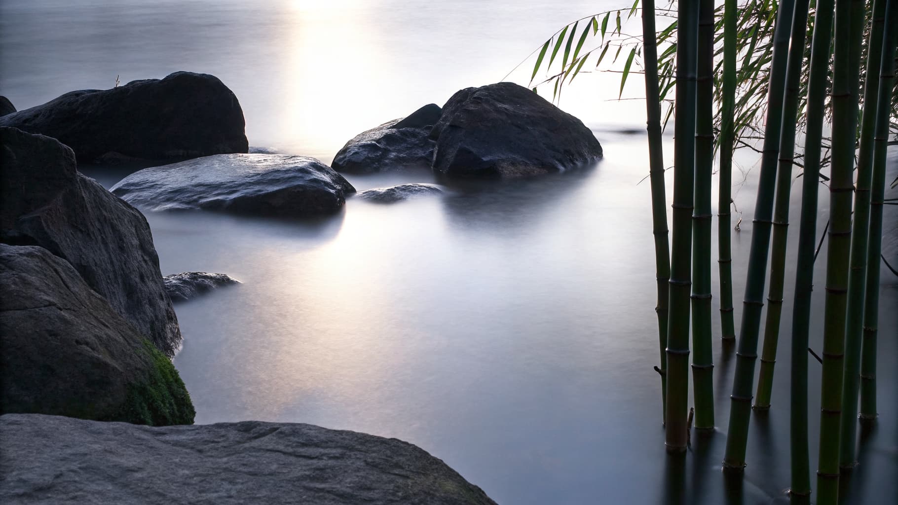 Serene Feng Shui environment with natural light and balanced energy flow